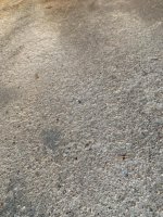 IMG_0681.jpg