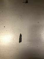 IMG_2543.jpg