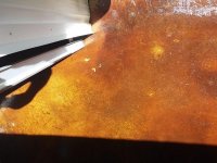 E43E18AE-774B-4A68-B6DB-CB65700414E0.jpeg