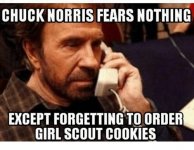 chuck-norris-fears-nothing-except-forgetting-to-order-girl-scout-30600559.jpeg