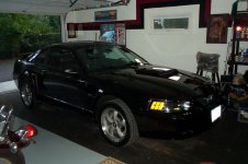 mustang.jpg