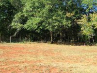 shop site 003.jpg