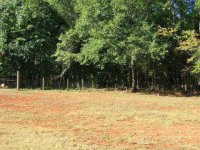 shop site 004.jpg