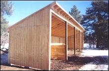 shed5.jpg