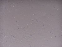 Two coats up close (2).jpg