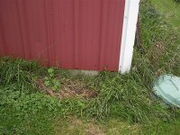 Siding.jpg