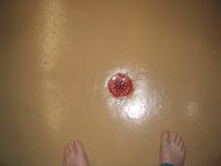 Copy of Drain.jpg