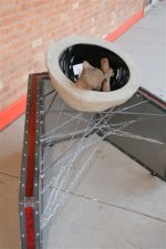 _MG_2917.JPG