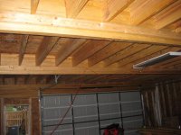IMG_0204 (Small).JPG