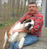 Beethoven lap dog.jpg