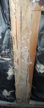 GJ_2019-05-01 16.35.23.jpg