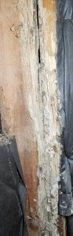 GJ_2019-05-01 16.36.00.jpg