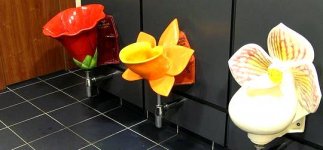 pretty flowers.jpg