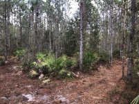 IMG_3207.jpg