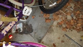 20180928_180126.jpg