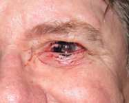 Eye - here's looking.jpg