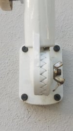 20190529_074225.jpg