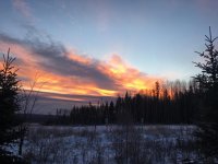 881D122D-0923-444E-8CA3-9146DA0B3C3C.jpg