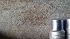20181104_144850.jpg