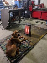 IMG_20170125_181024.jpg