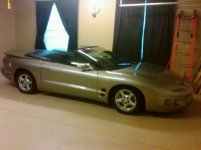 firebird.jpg