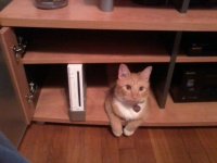 Playing the Wii.jpg