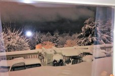 snowed another 3 inches last night after I quit shoveling 2.jpg