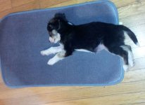 20190402_123829.jpeg