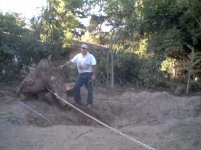 urban logger final009.jpg