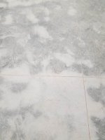 20181103_225001.jpg 20181103_225001.jpg