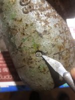 F0CB2692-C47D-48A3-B769-3CE3E15E27F6.jpg