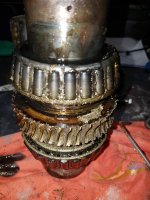 20180514_131957.jpg