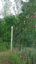 garden fence east side sag.jpg