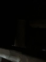 20181123_104737.jpg