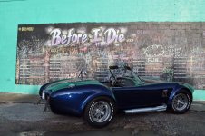 Cobra4.jpg