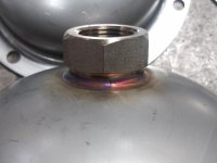 Nut-5.jpg