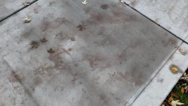 No Sealer.jpg