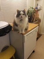 20161128_055940.jpg