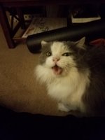 20171219_204255.jpg