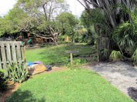 Ficus Removal 4.jpg