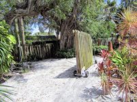 Ficus Removal 5.jpg
