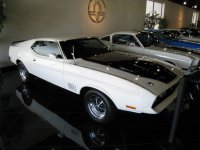IMG_1242.jpg