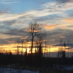 CA014227-667E-4716-819A-C00D363A4164.jpg