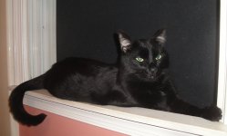 DSC05154 S.JPG