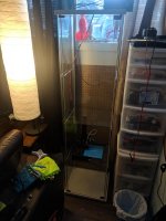 IMG_20190209_171506.jpg