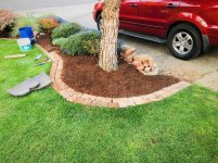 installed a few more bricks around pine tree.jpg