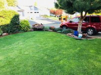 set bricks in flower bed ready to be installed 1.jpg