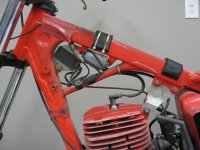 Newmann 8 3 2015 029.jpg