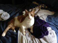 Evan on Bed.jpg