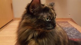 20180115_185638.jpg